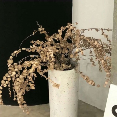 宜昌FurryQQ群介绍